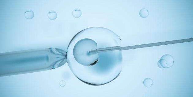 试管婴儿胚胎移植费用多少，流程有哪些