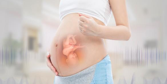 了解试管婴儿胎停的危险及预防