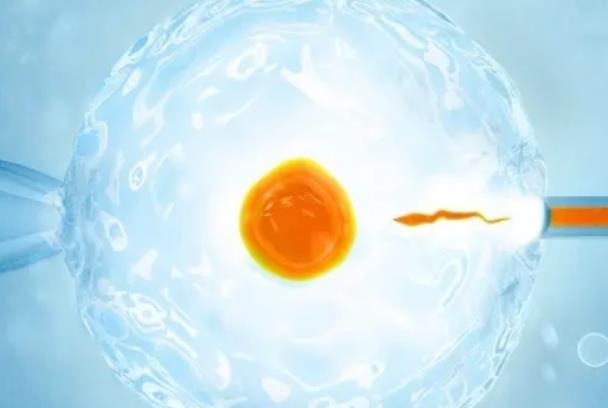 使用冷冻的卵子做第一代试管婴儿的成功率高不高
