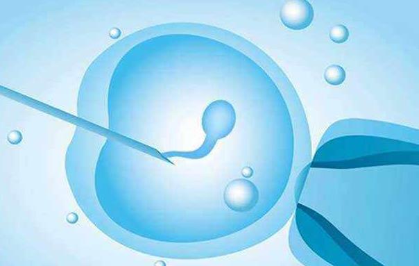 在上海做三代试管能放置几个胚胎根据女方年龄及其他因素灵活安排