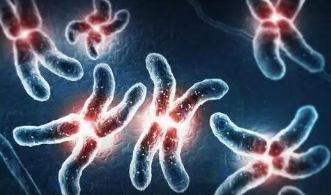 老公染色体异常导致心酸的试管路程