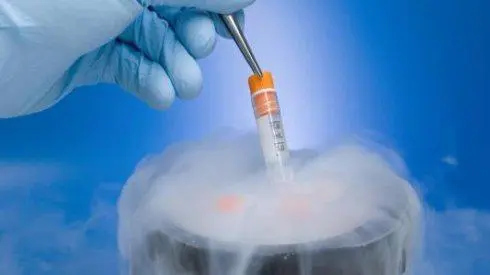 试管婴儿做完内膜活检后多久可以进行冻胚移植