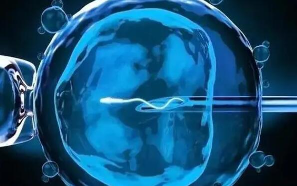 想造融合胚胎是不是连体婴儿看这容不容易双胎一文讲清
