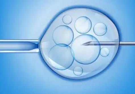 试管婴儿冻胚后需要多少费用试管婴儿冻胚胎费用