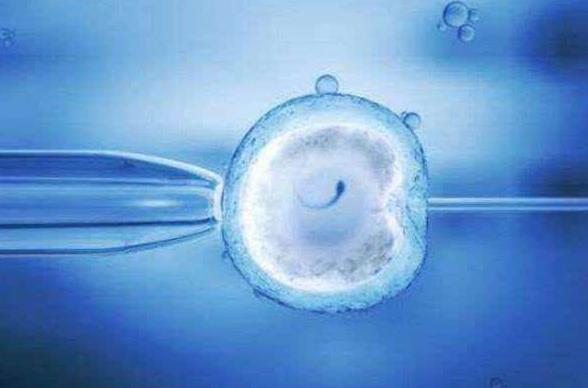 试管婴儿移植之前，内膜的标准是什么