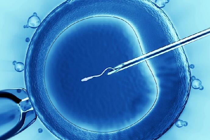 女性第三代试管婴儿胚胎移植前PGT三种检查都需要做吗