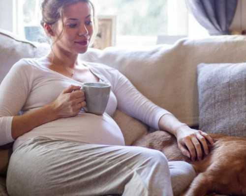 国内供卵代孕交流群,北华附院试管婴儿价格参考，不同代数费用不同