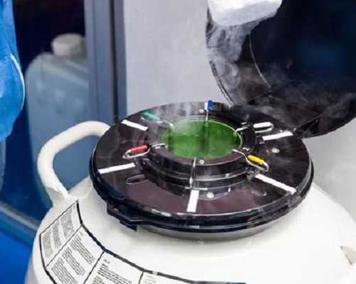 国内供卵辅助生殖中心官网,房屋租售比多少合理（房屋租售比怎么算）