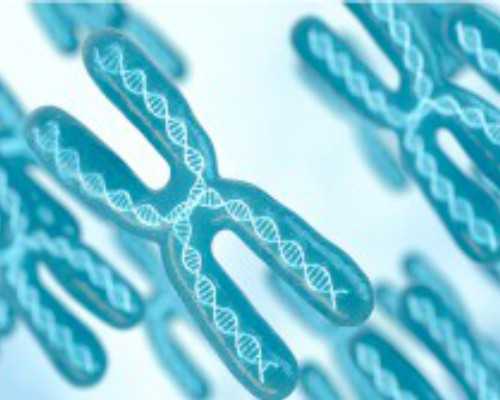 国内医院有没有供卵的,试管促排取卵后注意事项（试管取卵后需要注意什么）