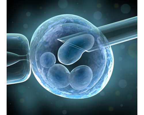 国内正规人工代孕助孕服务,国内可以做男宝的试管医院有哪些，附试管机构排名！