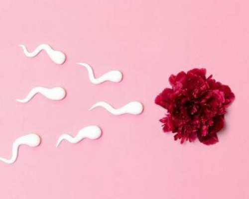 国内正规供卵医院有几家,试管婴儿移植后可以吃什么水果？