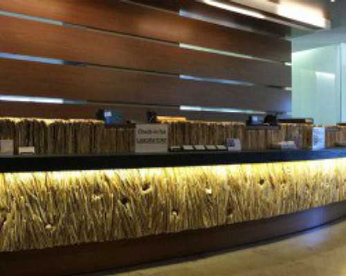 国内代生要多少钱,2026试管双胞胎收费价目表(双胞胎试管要多少钱)