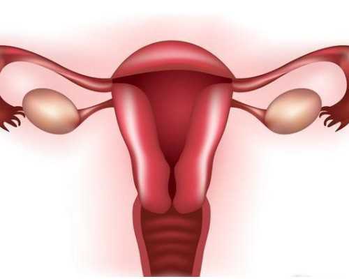 国内供卵中心有哪些,取卵当日男性朋友要做什么呢