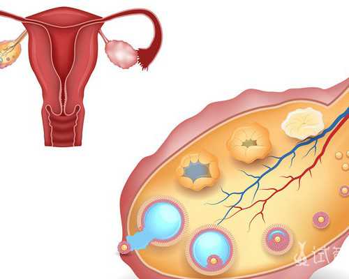 中国开始供卵的时间是多少,感染HPV就是乱搞引起的？医生：这3种情况也会引起HPV感染！
