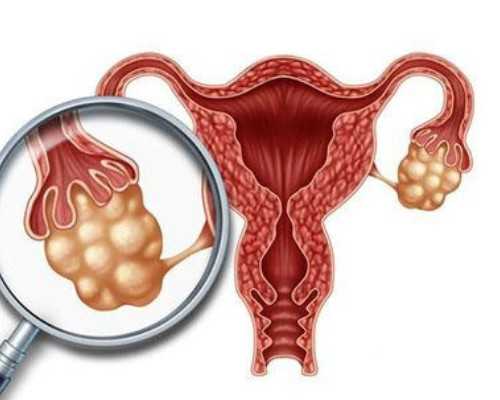 国内代生的收费,谁说孕妇不能吃寒性水果，只有这种病才不能乱吃！