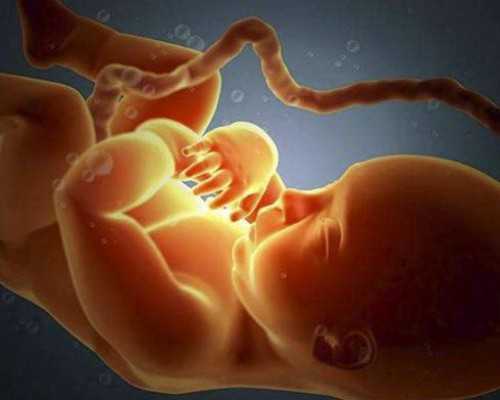 国内供卵的费用是多少,如何搜抖音号加好友（如何搜抖音号）