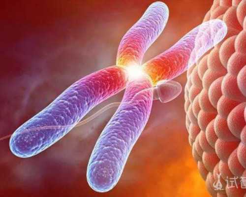 国内供卵公司地址,粘连性肠梗阻能做试管*怀孕的几率大吗？