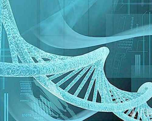 国内供卵如何排队,寻找回到大殿的通道最后一个（如何寻找一个失踪的人）