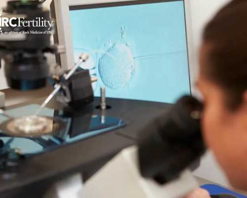 国内供卵生子案例,法定证据的种类有哪些（证据的种类有哪些）