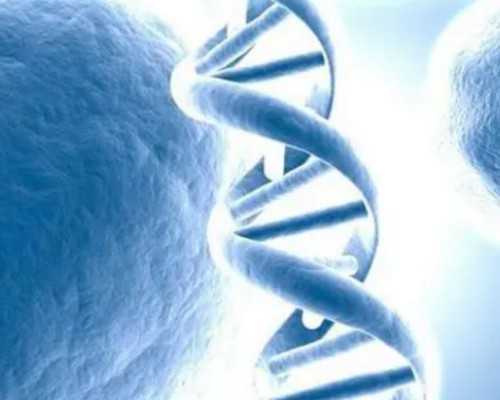 国内比较好的代孕,都说去泰国做试管婴儿好，泰国试管哪里好呢？