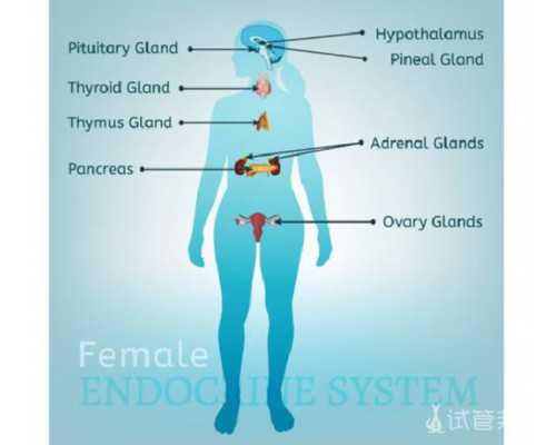 国内供卵医院排行榜前十名,备孕期吃培卵素吃多久才有效？有人说要服用3个