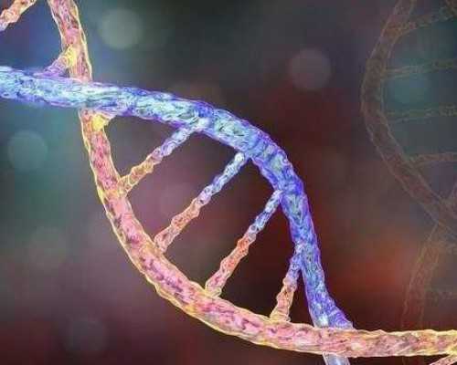 国内哪家医院做供卵,试管二胎移植冻胚步骤流程