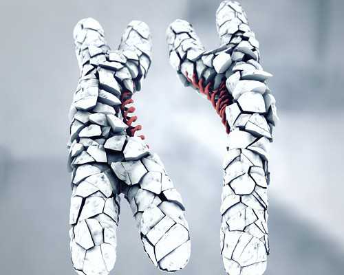 国内代怀成功率,基于成功率和费用，想知道济南三代试管哪家医院好？