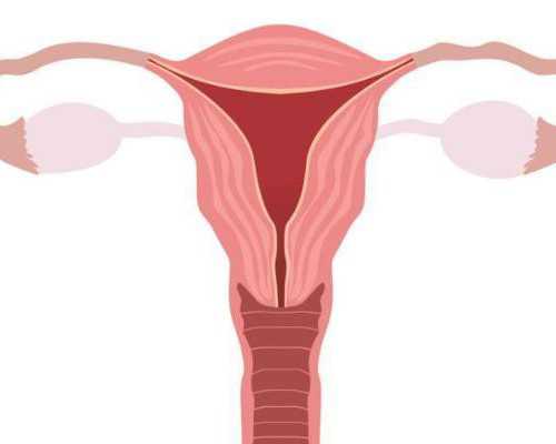 国内供卵品牌公司,别想着怀双胞胎了，关于多胎妊娠风险80%的孕妇不知道！