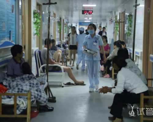 国内哪里有供卵库医院,幼儿小班英语水果教案 认识香蕉Banana